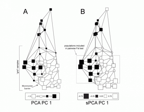 sPCA analysis