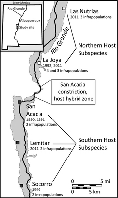   Fig. 2. Number of G. aurei populations sampled (n = number of host individuals) along the Rio Grande Valley of New Mexico with past and predicted future locations of the wave front of population expansion. 2012 samples were used for genomic work. 